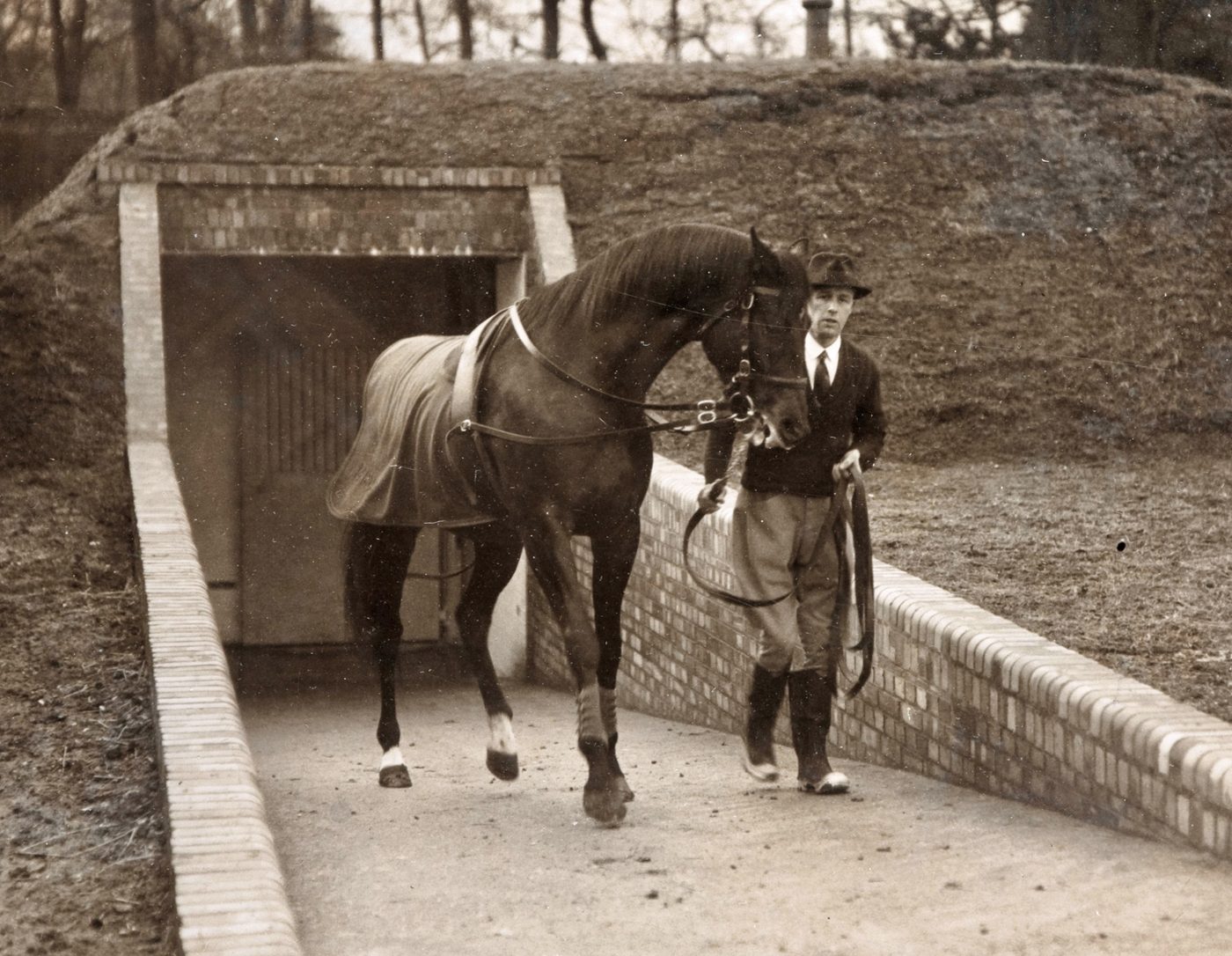 Black-and-white photo of Nearco, wearing a rug and bridle, being led up a brick-walled ramp out of an underground shelter by his groom